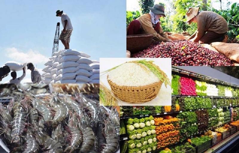 Kết quả xuất khẩu của nông nghiệp theo Tổng cục Thống kê